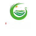 安仁古镇